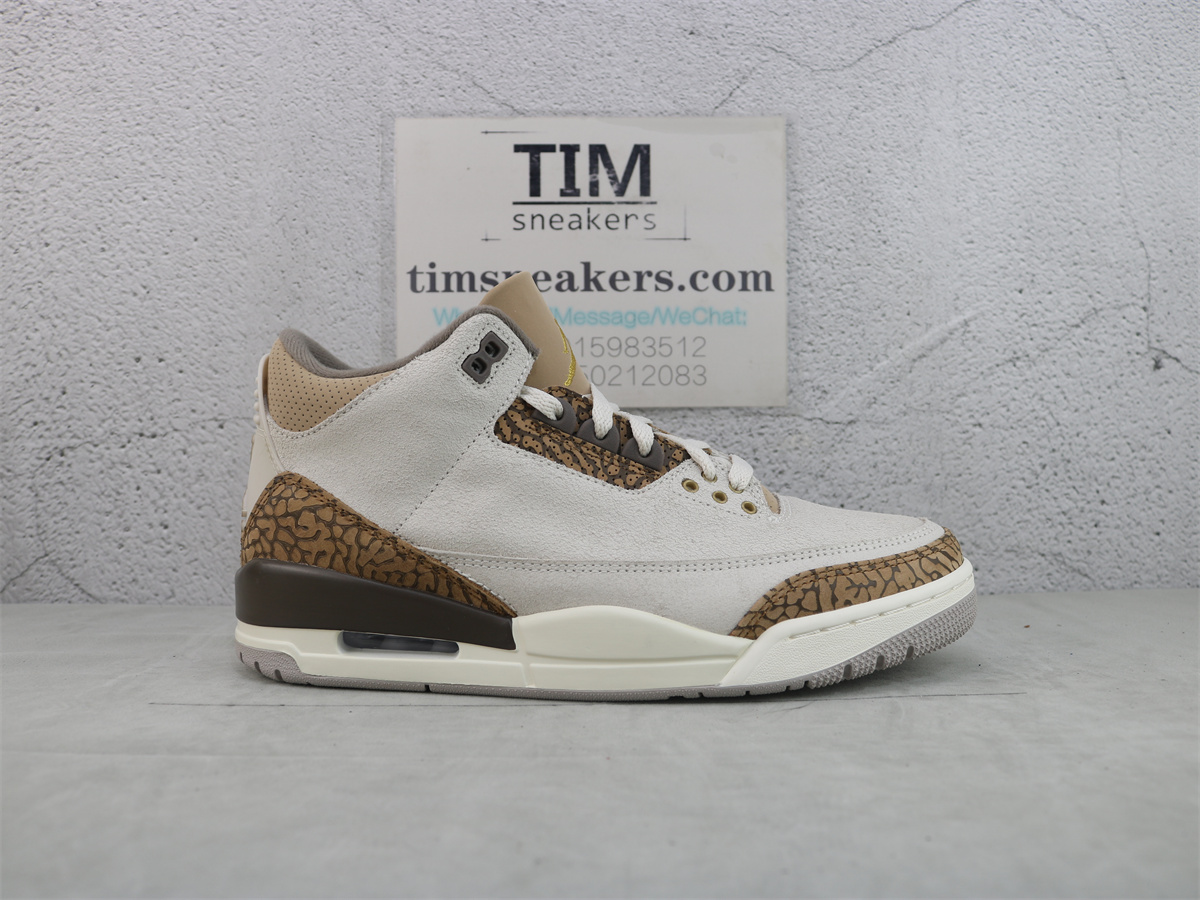 Air Jordan 3 Retro Palomino CT8532-102